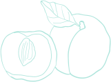 shape-02-2