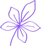 shape-13-2
