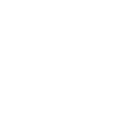 shape-05-1