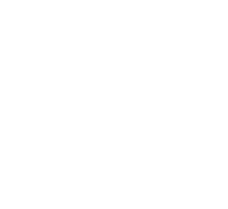 shape-08-1