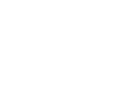 shape-37-1